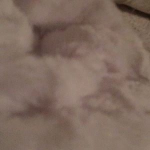 Meet your Posher, Diana